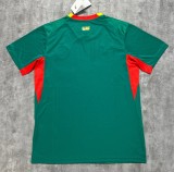 26/27 Senegal Away Jersey Fans Version Thai Quality bomandi