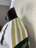 2026 Italy Training Soccer Jersey Player Version  1:1 Quality