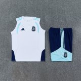 2026 Argentina Training Jersey Set Fans Version 1:1 Quality