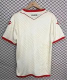 26/27 Albania Away Jersey Fans Version