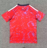 26/27 Costa Rica Home World Cup Jersey Fans Version Thai Quality