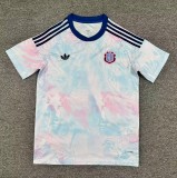 26/27 Costa Rica Away World Cup Jersey Fans Version Thai Quality