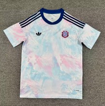 26/27 Costa Rica Away World Cup Jersey Fans Version Thai Quality