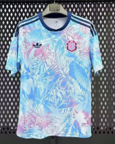 26/27 Costa Rica Away World Cup Jersey Fans Version Thai Quality