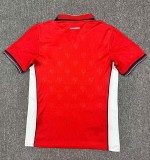 2026 Panama Home World Cup Jersey Fans Version 1:1 Quality