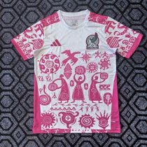 2026 Mexico Special Jersey Fans Version 1:1 Quality