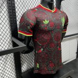 25/26 Mexico Special Jersey Player Version 1:1 Quality